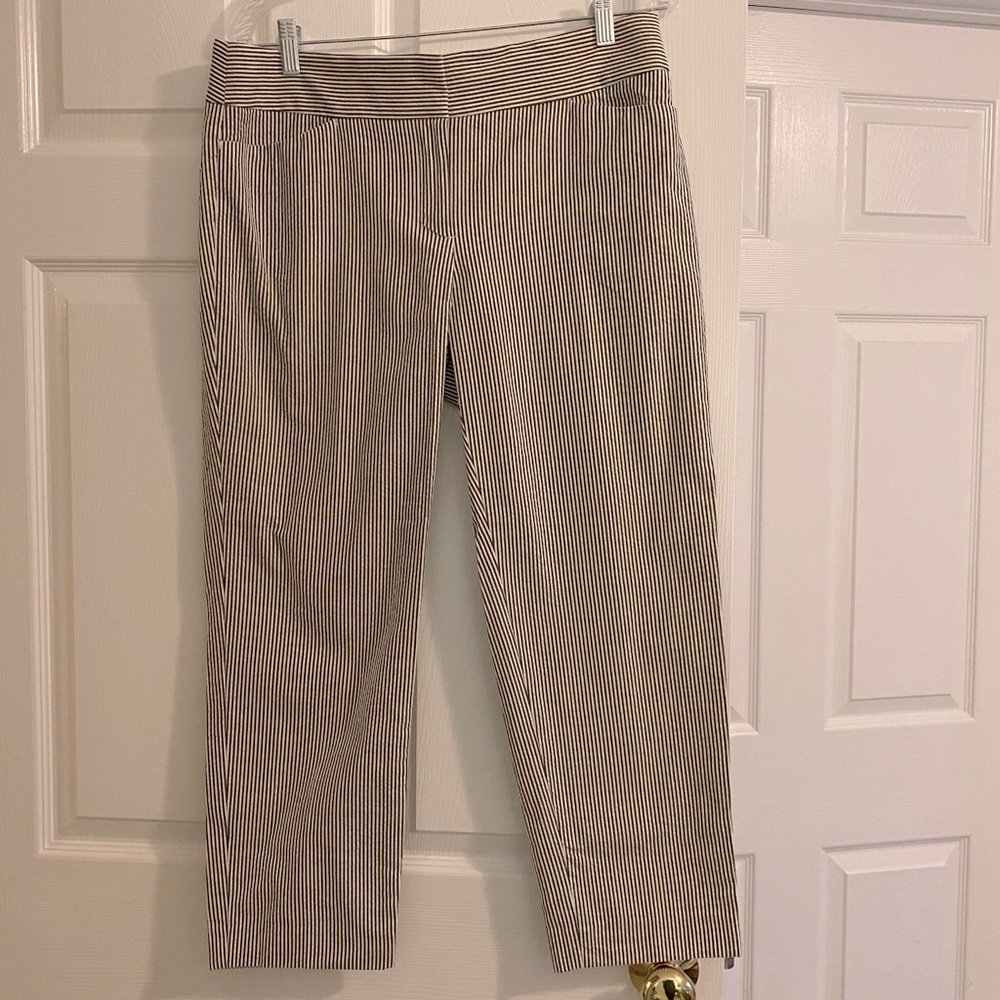 LOFT Cropped Pants, Navy Stripe NWT